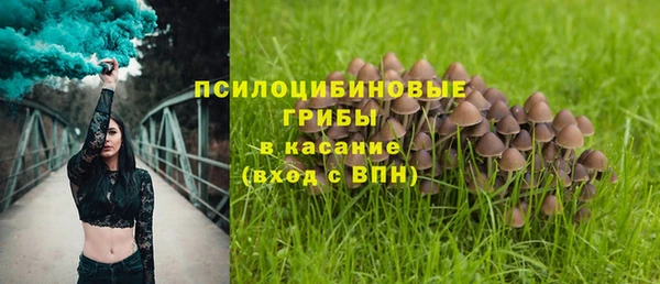 PSILOCYBIN Алексин